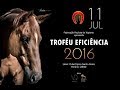 Fphtv  trofu eficincia  2016