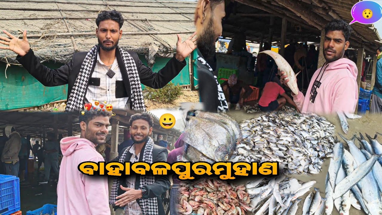 ବାହାବଳପୁର 😯||ମୁହାଣ  🐠||PINKURAJAVLOG ll