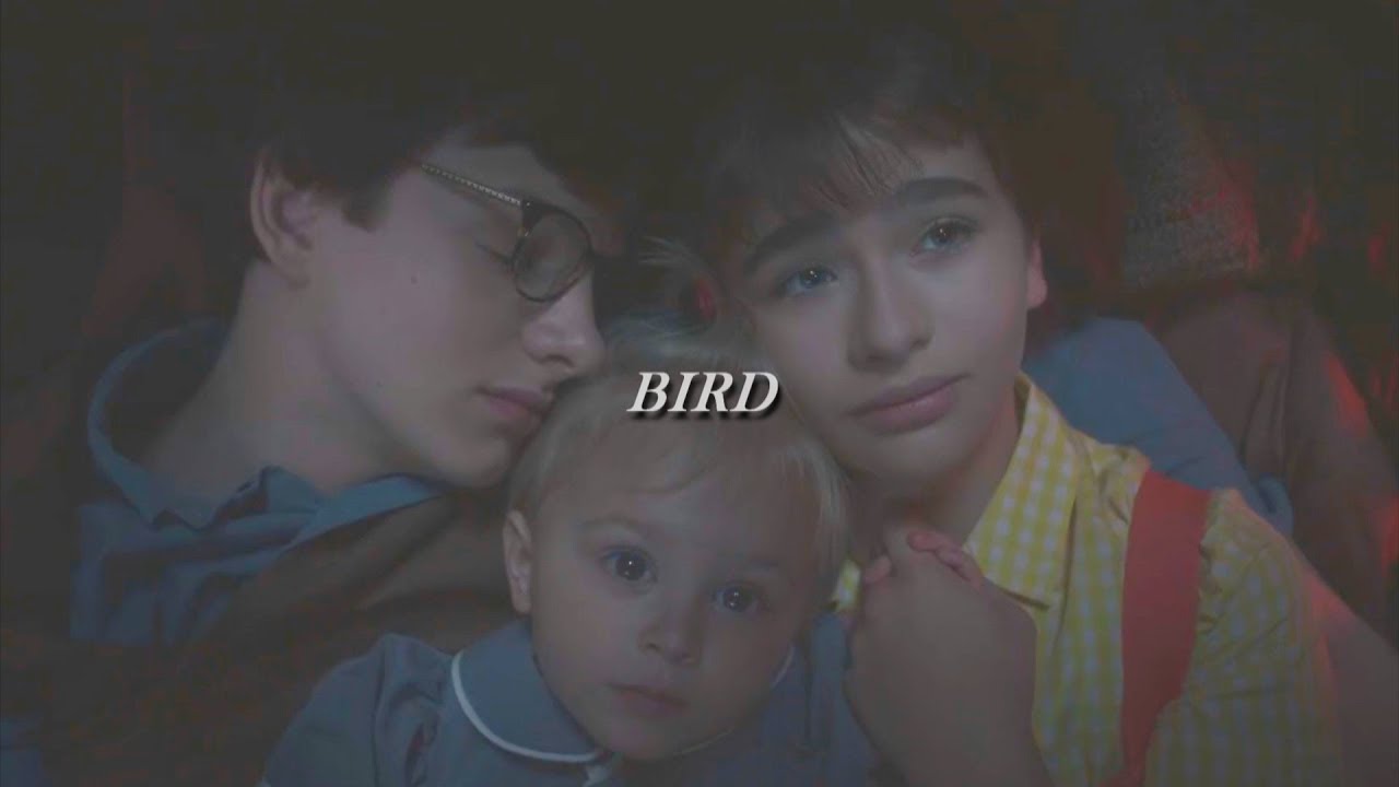 the baudelaires // bird