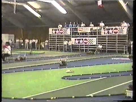Tamiya Euro-Cup 1995 - YouTube