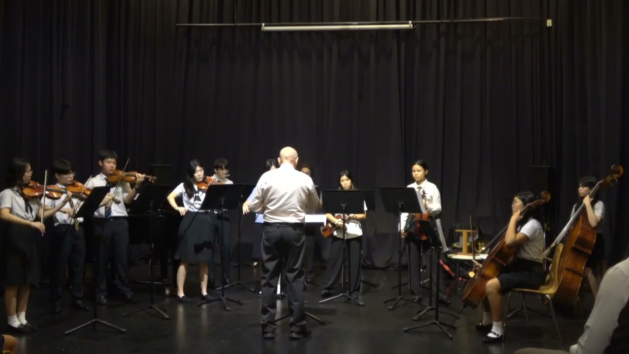 Alice Purcell Skellig Michael