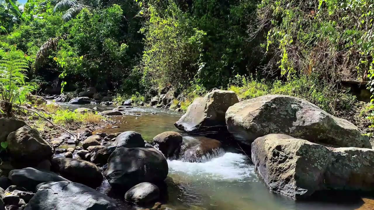 🌿 Fall Asleep Naturally | Relaxing River Ripples ASMR (No Talking)