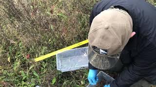 Soil sampling