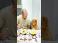 POV Your dog thinks it’s a 5-star mukbang channel. 🎤🐕 #funny #dog #foryou #asmr #fypシ