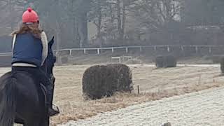 20180217 095531