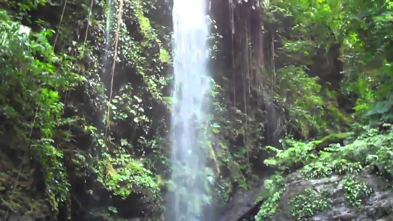 Angel Falls Trinidad & Tobago Field Naturalists' Club (TTFNC) YouTube