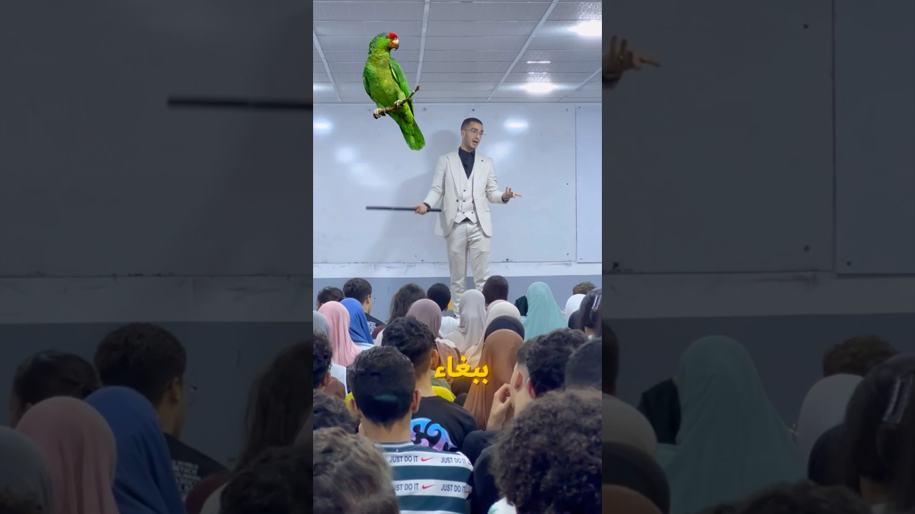 حذاري من ببغاء داخل القسم ! 🦜😨🚨