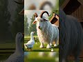 Beautiful story of a duck 🦆 anda bastard man👶 #viralshort #youtubeshorts #shorts #ytshorts #video