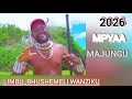 LIMBU LUCHAGULA MAJUNGU Official Audio 2026 By BHUSHEMELI WANZIKU 2026