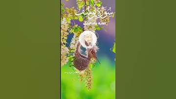 خالد الجليل سورة يوسف #قرآن #تلاوات_خاشعة #تيك_توك