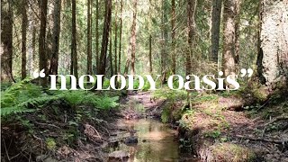 숲속에서의 새소리 [힐링음악/명상음악/스트레스해소]Melody Oasis