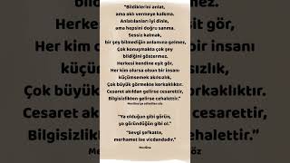 “Bildiklerini anlat, ama aklı vermeye kalkma...  # motivasyon #felsefe #söz #psikoloji