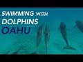 WHERE to SWIM with DOLPHINS in OAHU - SAVE MONEY in HAWAII, SKIP the TOUR | HI | Episode 12