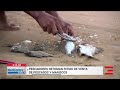 Pescadores reaniman ventas durante la Semana Santa