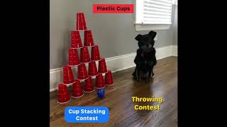 Celebrity Ideas for Creating Your Own Virtual Field Day Events Profile