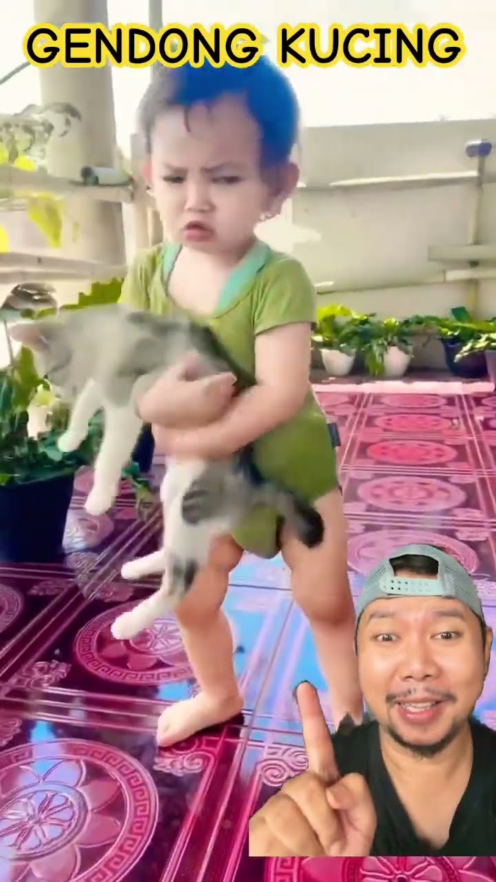GENDONG KUCING TERUS DIMARAHIN!???? #kucingkucinglucu #baby #cute #cat #kucing