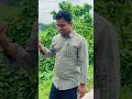 পৃথিবীতে সবাই ধোয়া তুলসী পাতা আর আমি একাই নিম পাতা #bastobkotha #motivation