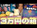【LUSH】豪華すぎる１ヶ月分の箱を１日で全部開けてやった。。