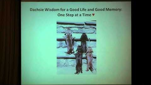 The Neuroscience of Learning and Memory