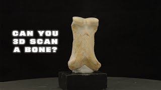 3D Scanning a Horse Bone screenshot 5