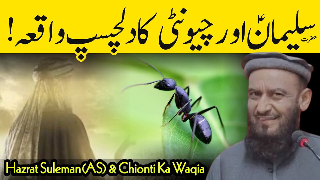 Hazrat Suleman (AS) & Chionti Ka Waqia - Allama Attaullah Bandyalvi