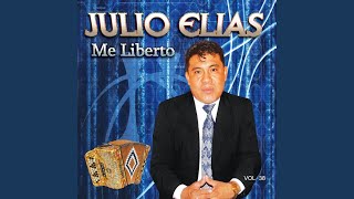 Video thumbnail of "Julio Elías - Mientras Viva"