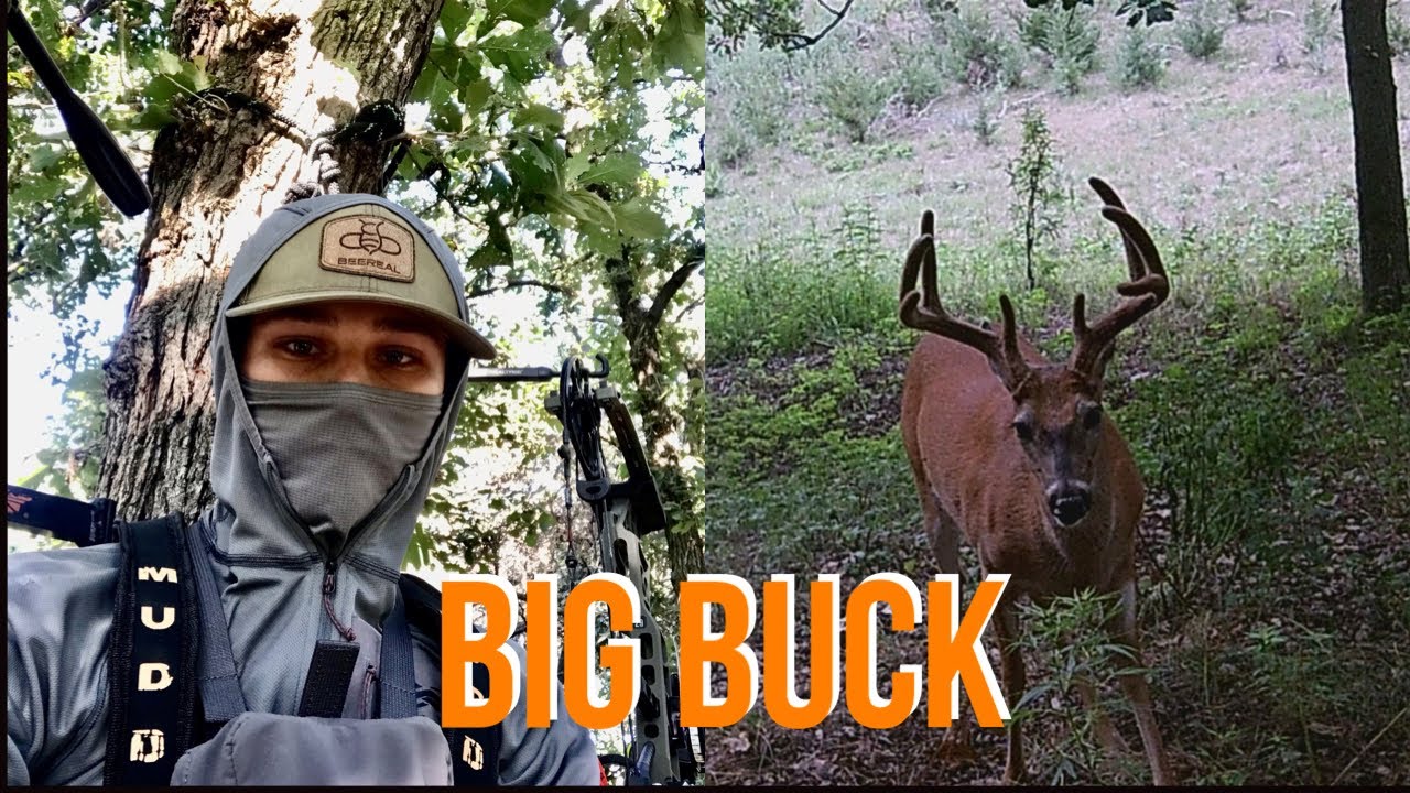 Archery hunting Giant Nebraska Bucks!!! hunting shorts archery 