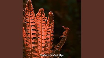 Alluring Koto and Strings - Vibe for Vipassana Meditation