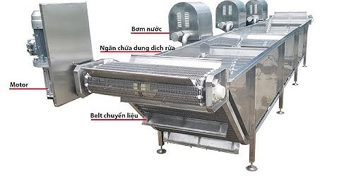 [CHICONG] Máy rửa cá, máy rửa sục khí, máy rửa công nghiệp, máy rửa inox, máy rửa belt inox tự động