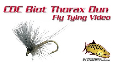 CDC Biot Thorax Dun Fly Tying Video Instructions - Rene Harrop