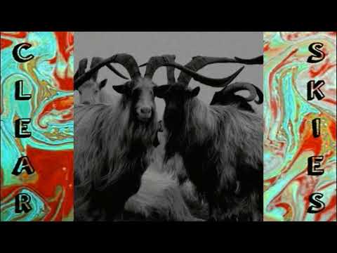 TVBUU - Panic Attack
