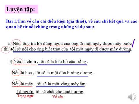 Luyện từ và câu lớp 5 - Tuần 22