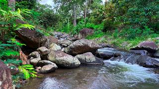 Nature Escape to Deep Calm with Peaceful Water Stream Sounds in a Hidden River Among Giant Rocks