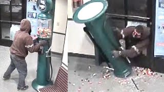 See Thief Try to Fit Gumball Machine Through Doggy Door