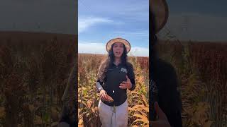 MUDANÇA DE CENÁRIO | @rallydasafra