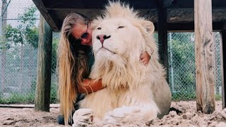 CUDDLING WITH A HUGE WHITE LION