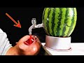 Amazing Watermelon Party Tricks Experiment at home