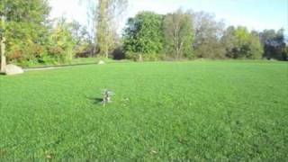 TREX 500 Helicopter - 02 - First Flight
