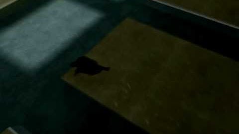 CS: oTcHeTo - 256 LJ (Previous WR) - by FoF