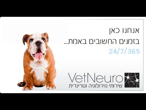 וִידֵאוֹ: שיתוק בכלבים