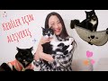 Kedi ürünleri alışverişi | Kayınvalidem Kediler için hırka ördü | Kedi alerjim nasıl geçti?