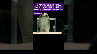 Di gigit Ular Berbisa. Racun Ular Tidak Mempan di tubuhnya#shorts#alurceritafilm #fyp #viral
