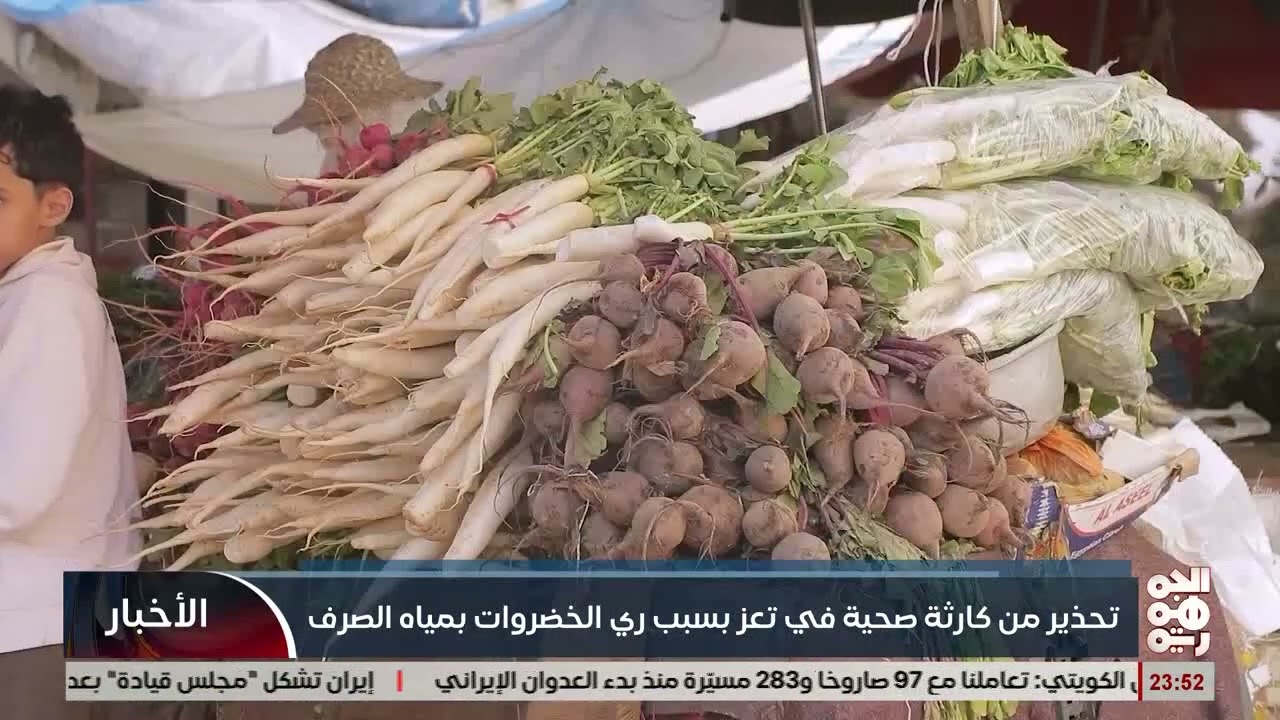 تحذير من كارثه صحية في تعز بسب ري الخضروات بمياه الصرف الصحي