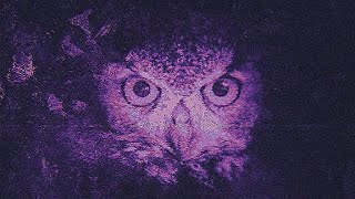 𝐡𝐚𝐫𝐝𝐢𝐜𝐤𝐨𝐟𝐟 - 𝐇𝐢𝐩𝐨𝐭𝐚𝐥𝐚𝐦𝐮𝐬