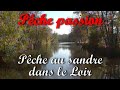Passion Fishing Zander Fishing In The Loir