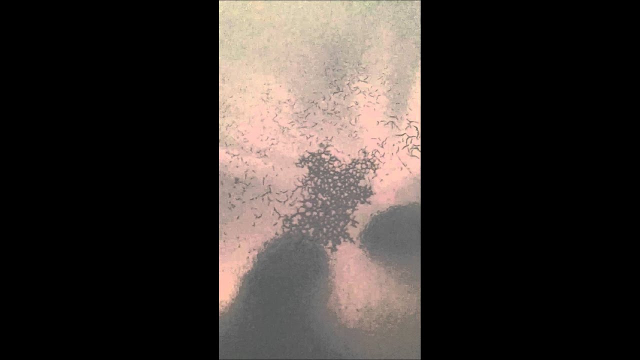 Why is my paint lifting? YouTube