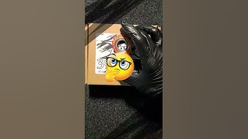 Keyrambit GAVI-X #keyrambit #gavi-x #unbox #blindbox #hopmu #gavishopxinchao #gavishop