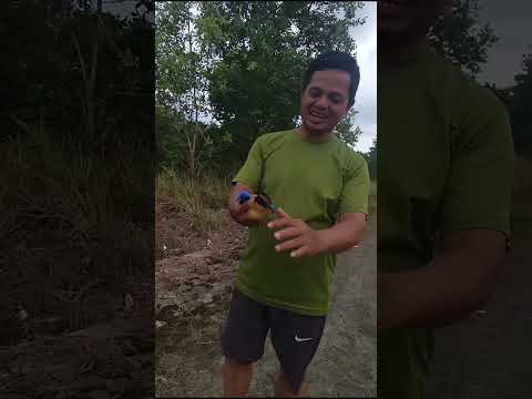 MELEPAS BURUNG KEMBALI KE ALAM LIAR