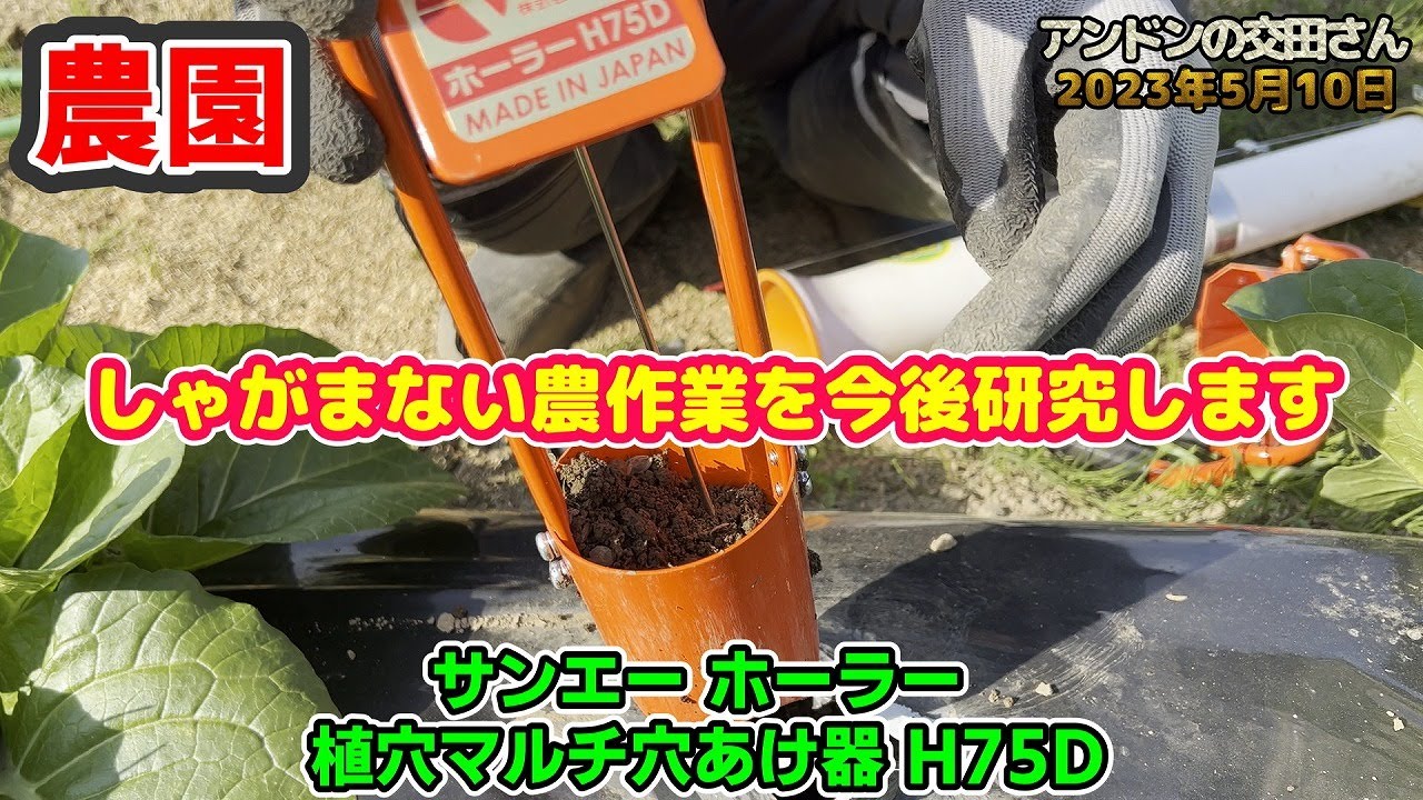 家庭菜園・農業】夏野菜の定植前(END)！ 移植機「サンエー ホーラー 植