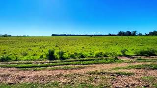 Chacra De 5Ha Y Media En Matamora